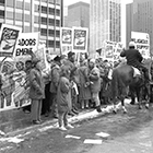 Archive Image